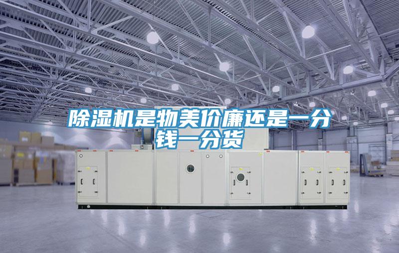 小黄片软件免费下载是物美價廉還是一分錢一分貨