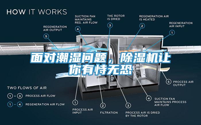 麵對潮濕問題，小黄片软件免费下载讓你有恃無恐