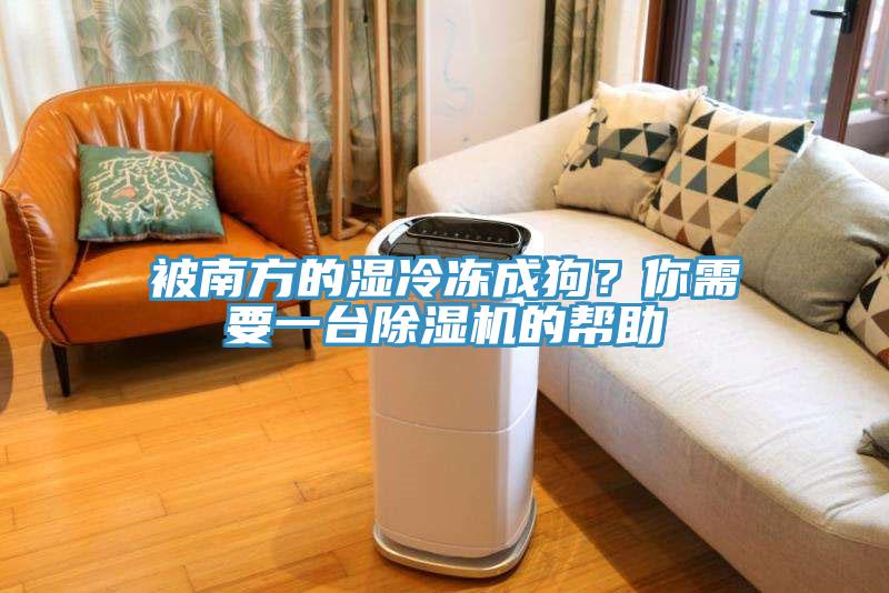 被南方的濕冷凍成狗？你需要一台小黄片软件免费下载的幫助