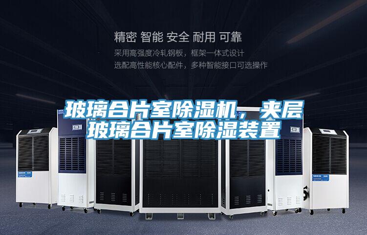 玻璃合片室小黄片软件免费下载，夾層玻璃合片室除濕裝置