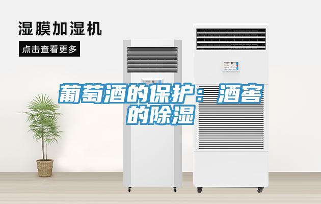 葡萄酒的保護：酒窖的除濕