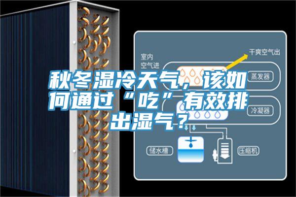 秋冬濕冷天氣，該如何通過“吃”有效排出濕氣？