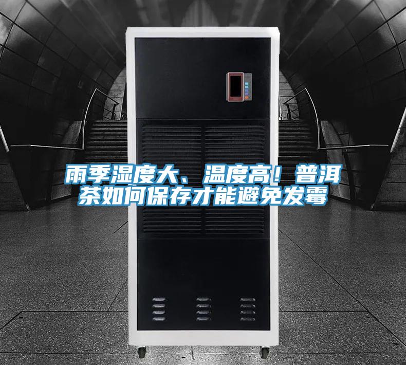 雨季濕度大、溫度高！普洱茶如何保存才能避免發黴
