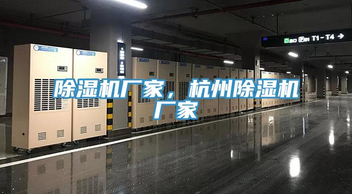 小黄片软件免费下载廠家，杭州小黄片软件免费下载廠家
