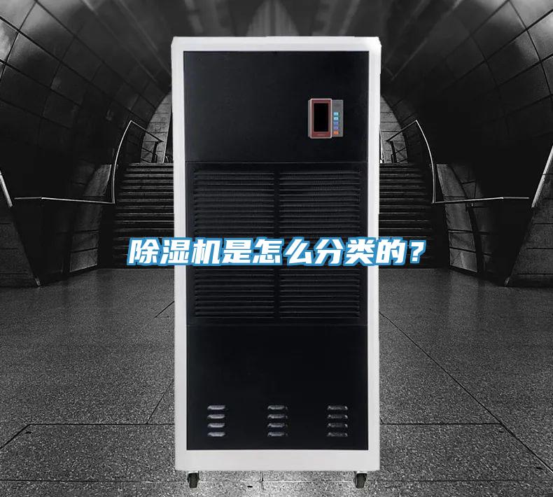 小黄片软件免费下载是怎麽分類的？