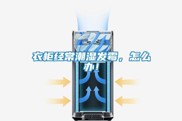 衣櫃經常潮濕發黴，怎麽辦！