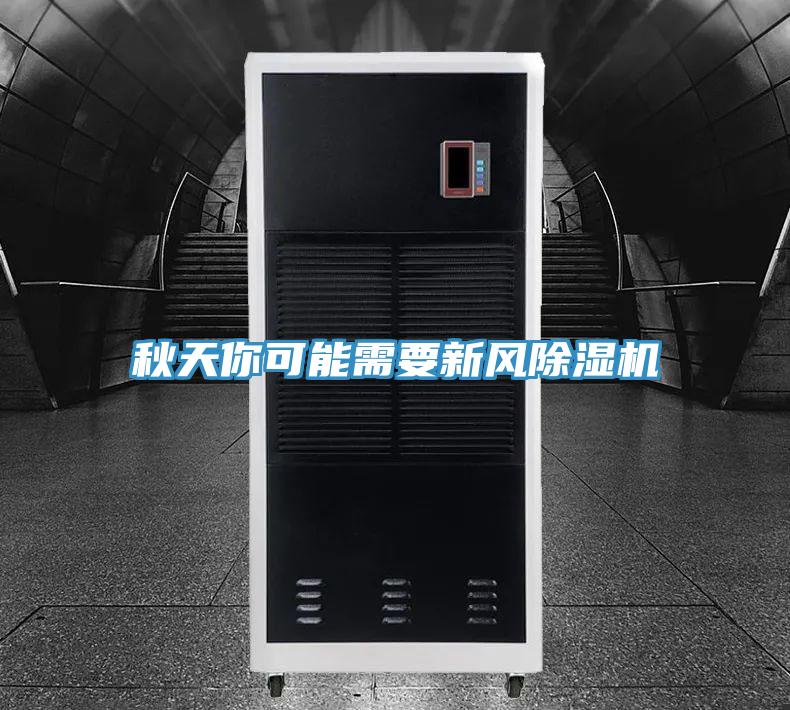 秋天你可能需要新風小黄片软件免费下载