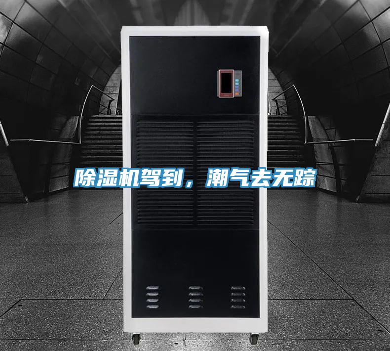 小黄片软件免费下载駕到，潮氣去無蹤