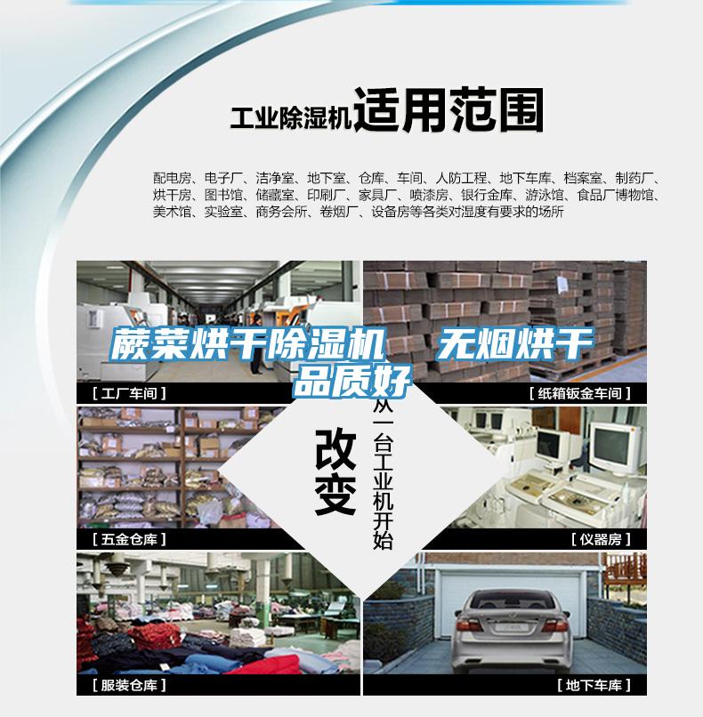 蕨菜烘幹小黄片软件免费下载  無煙烘幹品質好