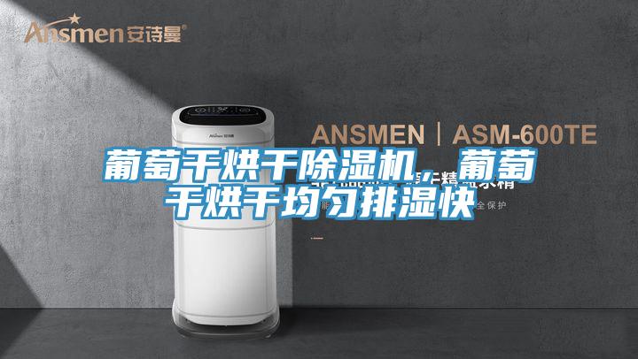 葡萄幹烘幹小黄片软件免费下载，葡萄幹烘幹均勻排濕快