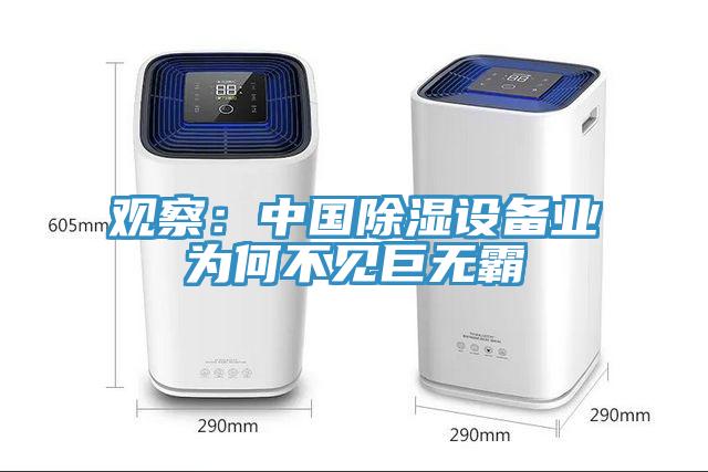 觀察：中國除濕設備業為何不見巨無霸