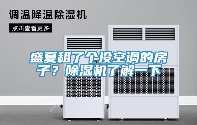 盛夏租了個沒空調的房子？小黄片软件免费下载了解一下