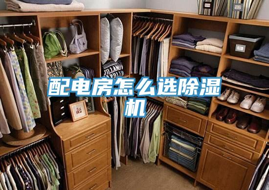 配電房怎麽選小黄片软件免费下载