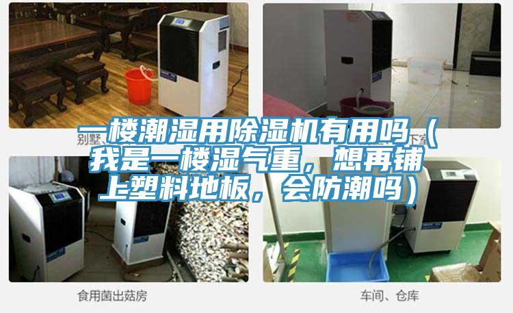 一樓潮濕用小黄片软件免费下载有用嗎（我是一樓濕氣重，想再鋪上塑料地板，會防潮嗎）