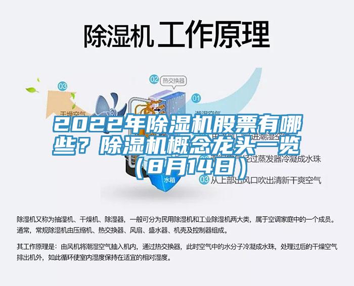 2022年小黄片软件免费下载股票有哪些？小黄片软件免费下载概念龍頭一覽（8月14日）