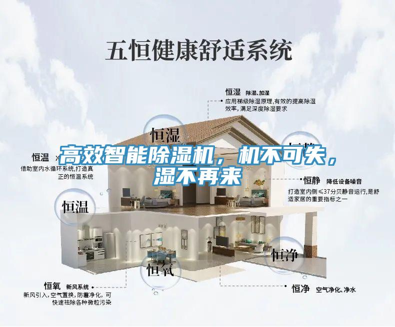 高效智能小黄片软件免费下载，機不可失，濕不再來