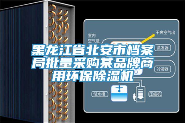 黑龍江省北安市檔案局批量采購某品牌商用環保小黄片软件免费下载