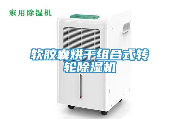 軟膠囊烘幹組合式轉輪小黄片软件免费下载