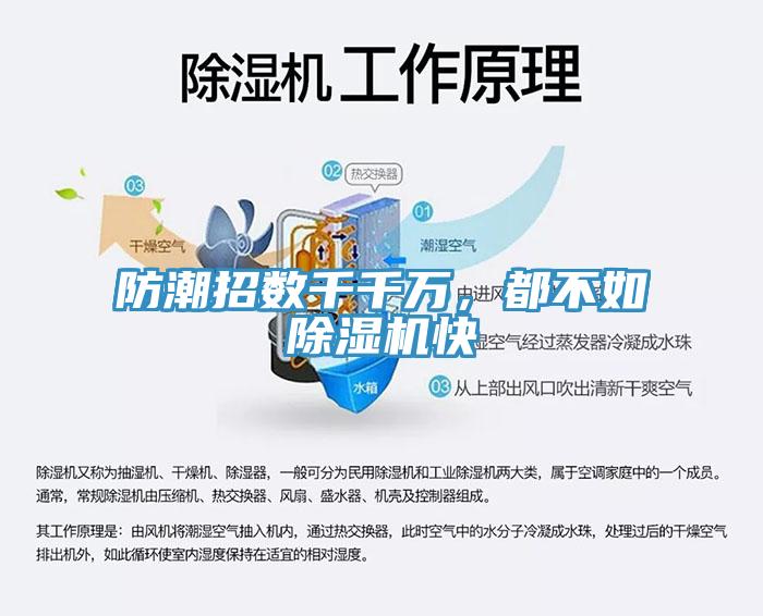 防潮招數千千萬，都不如小黄片软件免费下载快