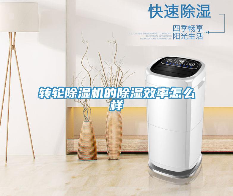 轉輪小黄片软件免费下载的除濕效率怎麽樣