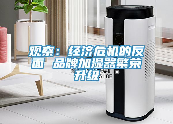 觀察：經濟危機的反麵 品牌加濕器繁榮升級