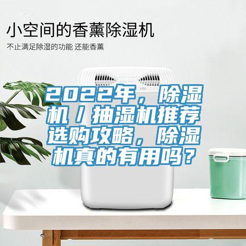 2022年，小黄片软件免费下载／抽濕機推薦選購攻略，小黄片软件免费下载真的有用嗎？
