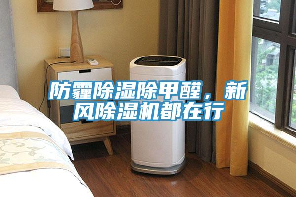 防霾除濕除甲醛，新風小黄片软件免费下载都在行