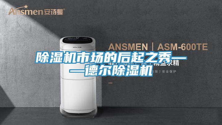 小黄片软件免费下载市場的後起之秀——德爾小黄片软件免费下载