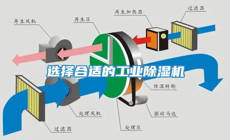 選擇合適的工業小黄片软件免费下载