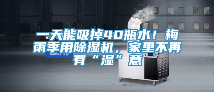 一天能吸掉40瓶水！梅雨季用小黄片软件免费下载，家裏不再有“濕”意