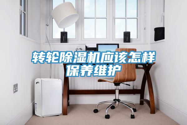 轉輪小黄片软件免费下载應該怎樣保養維護