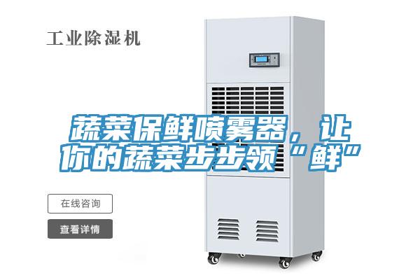 蔬菜保鮮噴霧器，讓你的蔬菜步步領“鮮”