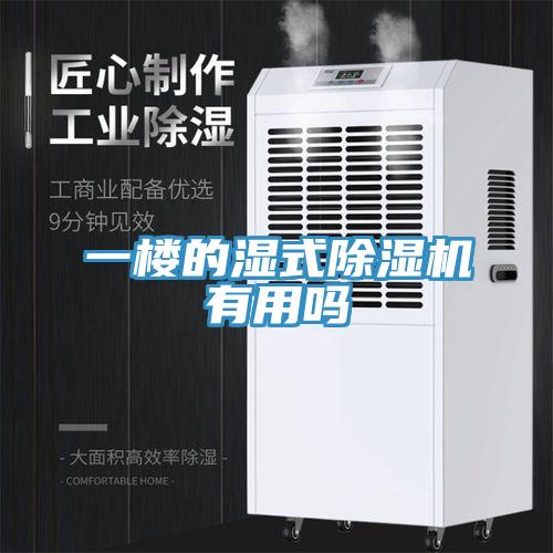 一樓的濕式小黄片软件免费下载有用嗎