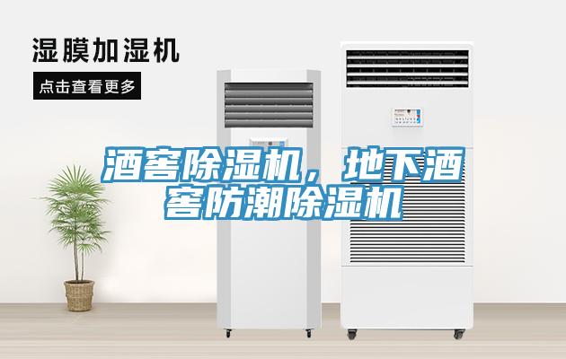 酒窖小黄片软件免费下载，地下酒窖防潮小黄片软件免费下载