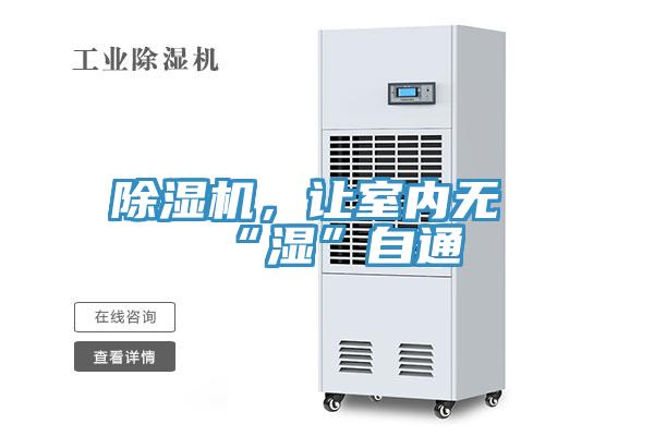 小黄片软件免费下载，讓室內無“濕”自通