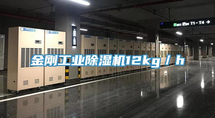 金剛工業小黄片软件免费下载12kg／h