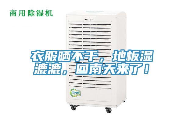 衣服曬不幹，地板濕漉漉，回南天來了！