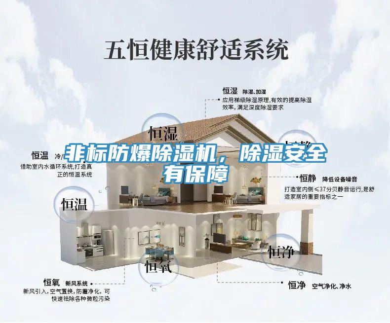 非標防爆小黄片软件免费下载，除濕安全有保障