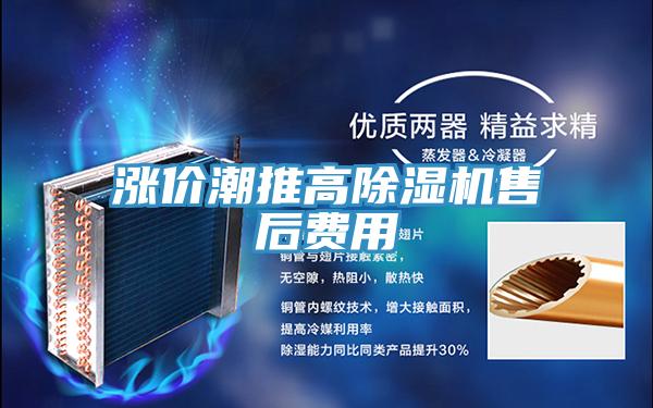 漲價潮推高小黄片软件免费下载售後費用
