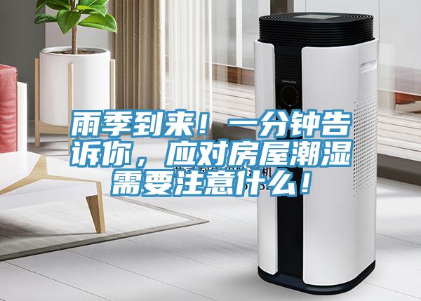雨季到來！一分鍾告訴你，應對房屋潮濕需要注意什麽！