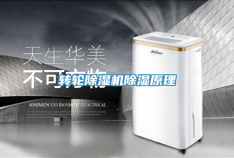 轉輪小黄片软件免费下载除濕原理