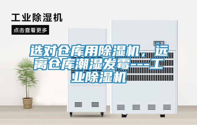 選對倉庫用小黄片软件免费下载，遠離倉庫潮濕發黴---工業小黄片软件免费下载