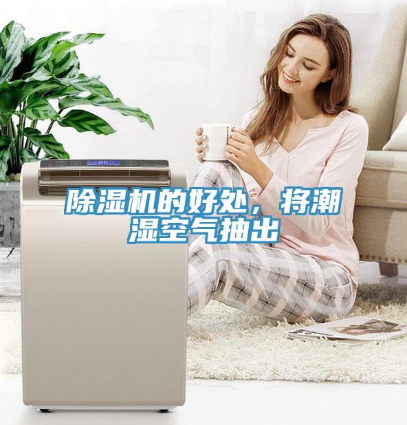 小黄片软件免费下载的好處，將潮濕空氣抽出