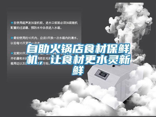 自助火鍋店食材保鮮機，讓食材更水靈新鮮