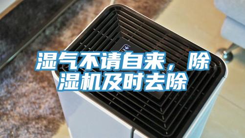 濕氣不請自來，小黄片软件免费下载及時去除