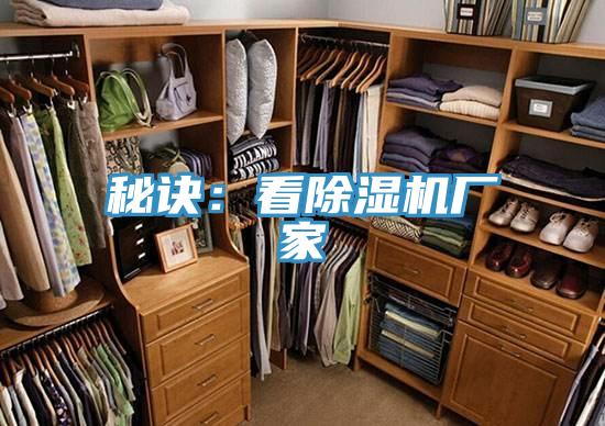 秘訣：看小黄片软件免费下载廠家