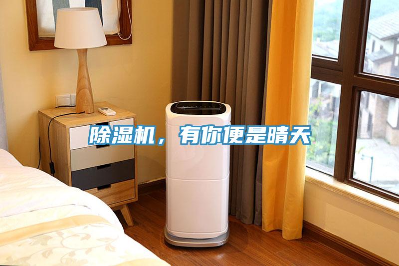 小黄片软件免费下载，有你便是晴天