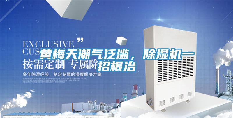 黃梅天潮氣泛濫，小黄片软件免费下载一招根治