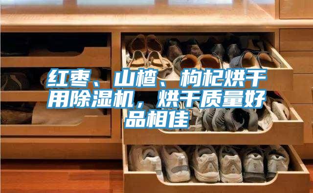 紅棗、山楂、枸杞烘幹用小黄片软件免费下载，烘幹質量好品相佳