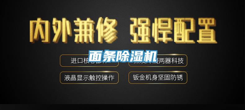 麵條小黄片软件免费下载